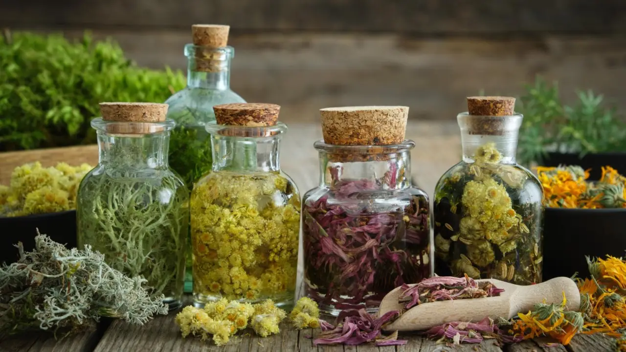 Vendere prodotti naturali: una guida per iniziare da zero Vendere prodotti naturali: una guida per iniziare da zero
