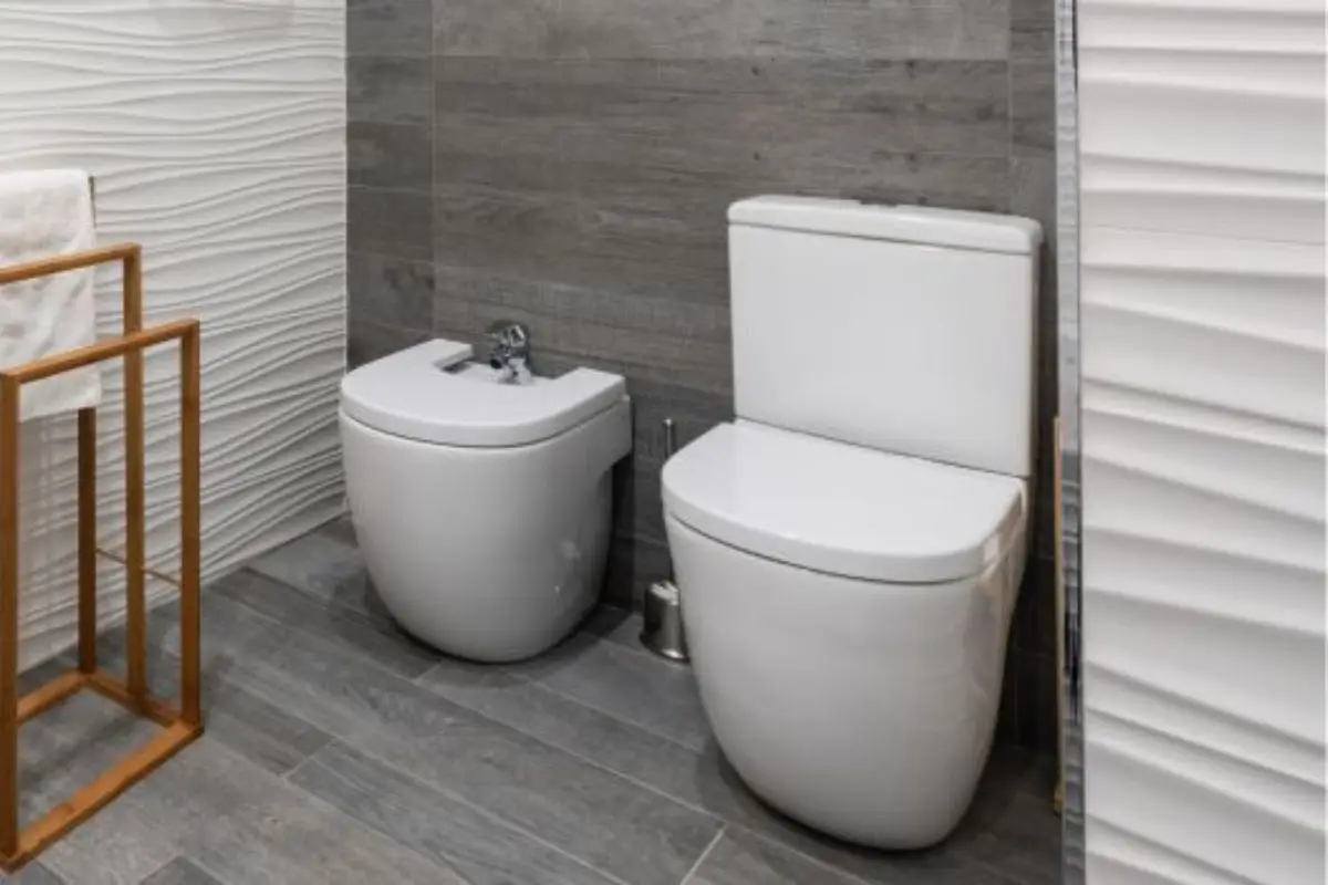 Acido citrico per pulire il WC: il metodo ecologico che elimina il calcare in un colpo solo Acido citrico per pulire il WC: il metodo ecologico che elimina il calcare in un colpo solo