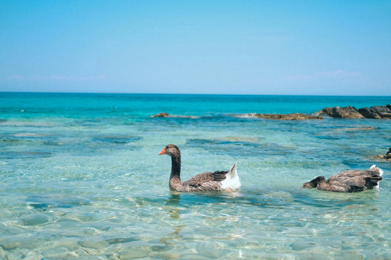 Mare o montagna? Ecco cosa scegliere in base al tuo stile di vita Mare o montagna? Ecco cosa scegliere in base al tuo stile di vita