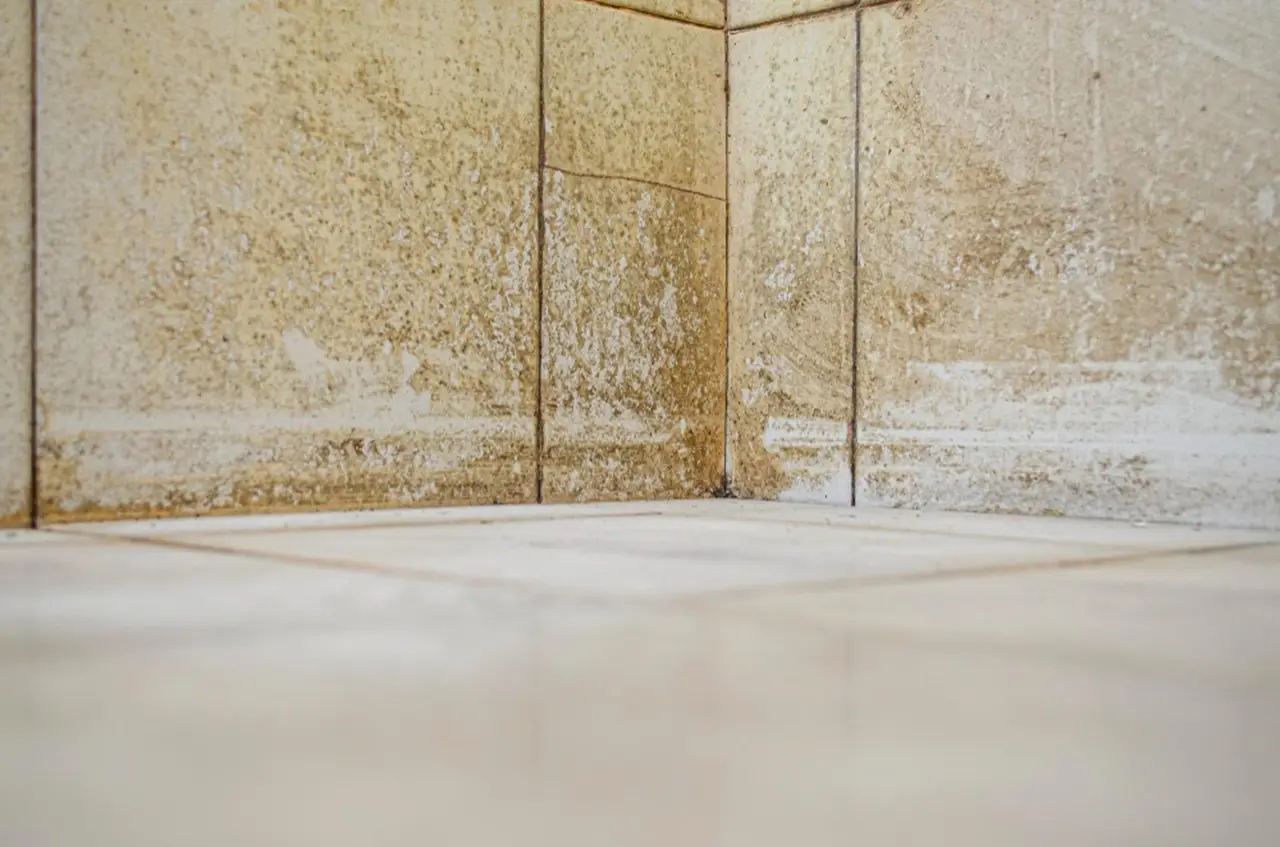 Questo trucco naturale allontana la muffa dal bagno in pochi minuti: prova ora Questo trucco naturale allontana la muffa dal bagno in pochi minuti: prova ora