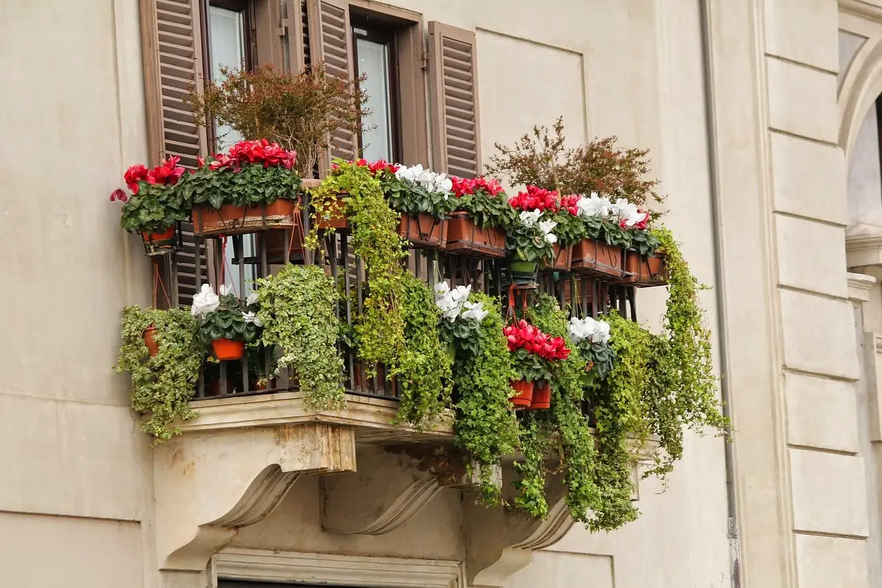 Allontana moscerini dal balcone con questa pianta resistente e facile da coltivare Allontana moscerini dal balcone con questa pianta resistente e facile da coltivare