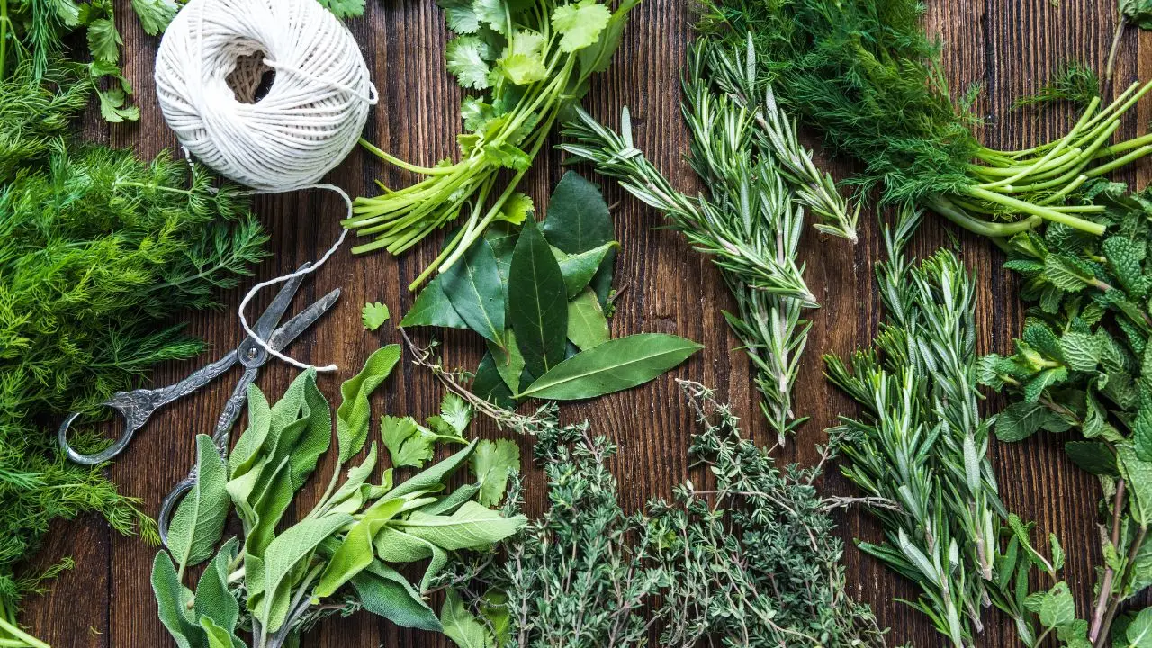 Sperimenta un mix di erbe aromatiche che trasforma il tuo terrazzo in un ambiente fresco Sperimenta un mix di erbe aromatiche che trasforma il tuo terrazzo in un ambiente fresco