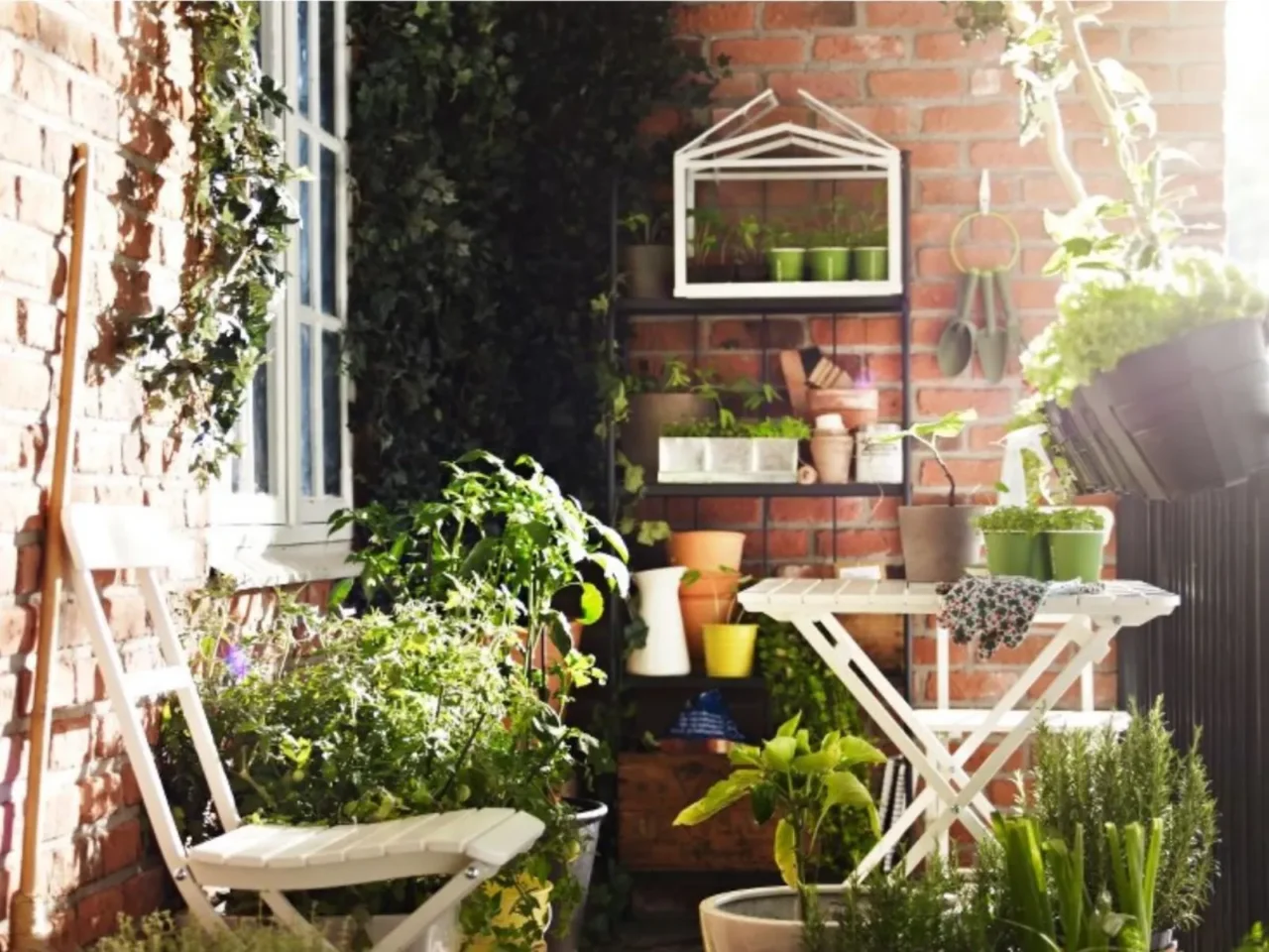 Tuffati in una piccola oasi: ecco come creare un angolo verde antizanzare anche se non hai giardino Tuffati in una piccola oasi: ecco come creare un angolo verde antizanzare anche se non hai giardino