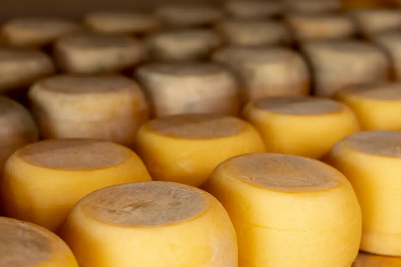 Formaggi stagionati e dolci confezionati: come riconoscere gli snack infiammatori per le articolazioni Formaggi stagionati e dolci confezionati: come riconoscere gli snack infiammatori per le articolazioni