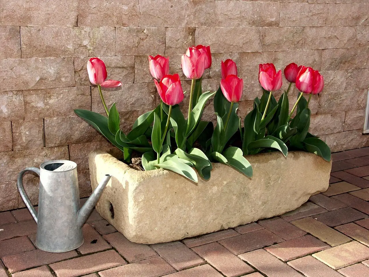 Scopri come comporre una fioriera con fiori profumati che tengono lontani gli insetti Scopri come comporre una fioriera con fiori profumati che tengono lontani gli insetti