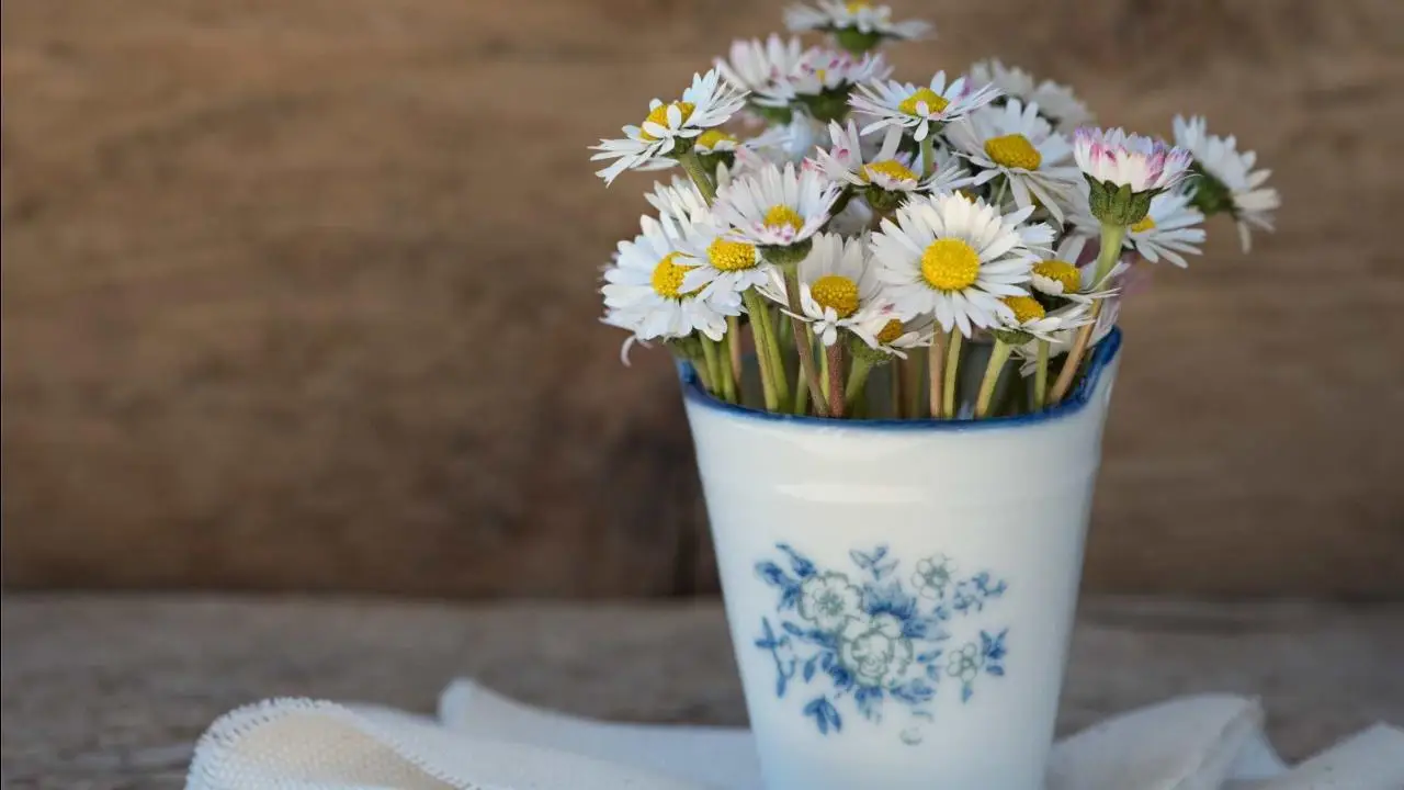 Fiori recisi più a lungo: il metodo che nessuno ti dice Fiori recisi più a lungo: il metodo che nessuno ti dice
