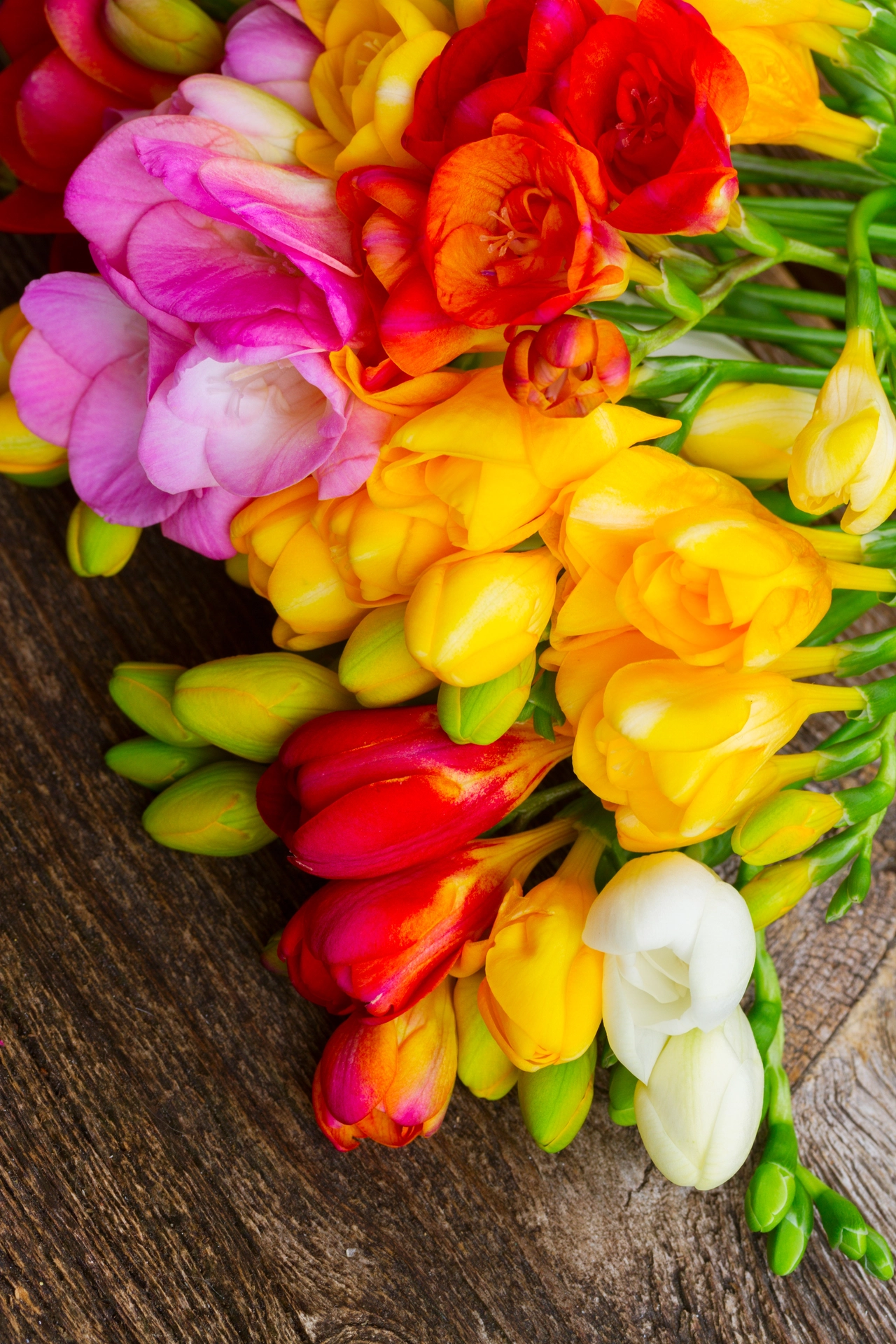 Fiori recisi più a lungo: il metodo che nessuno ti dice Fiori recisi più a lungo: il metodo che nessuno ti dice