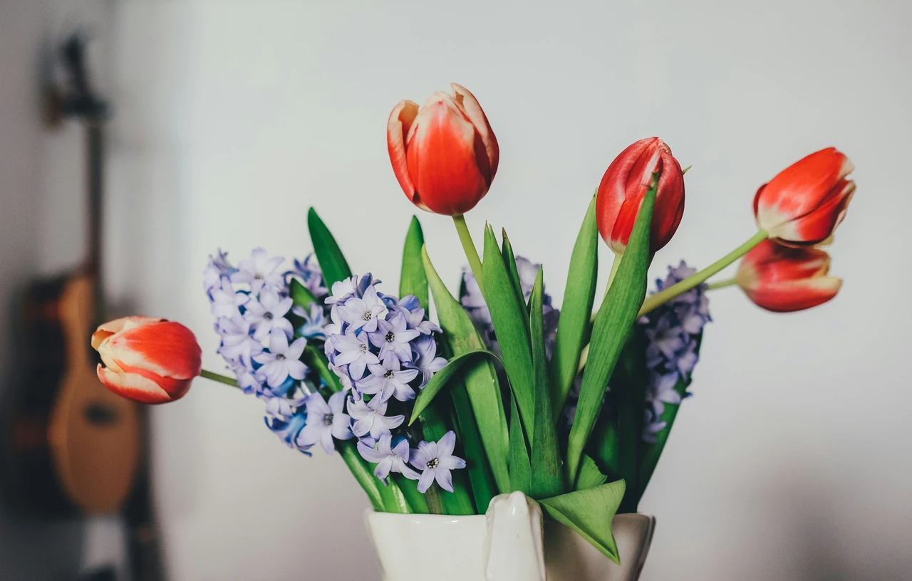 Fiori recisi più a lungo: il metodo che nessuno ti dice Fiori recisi più a lungo: il metodo che nessuno ti dice