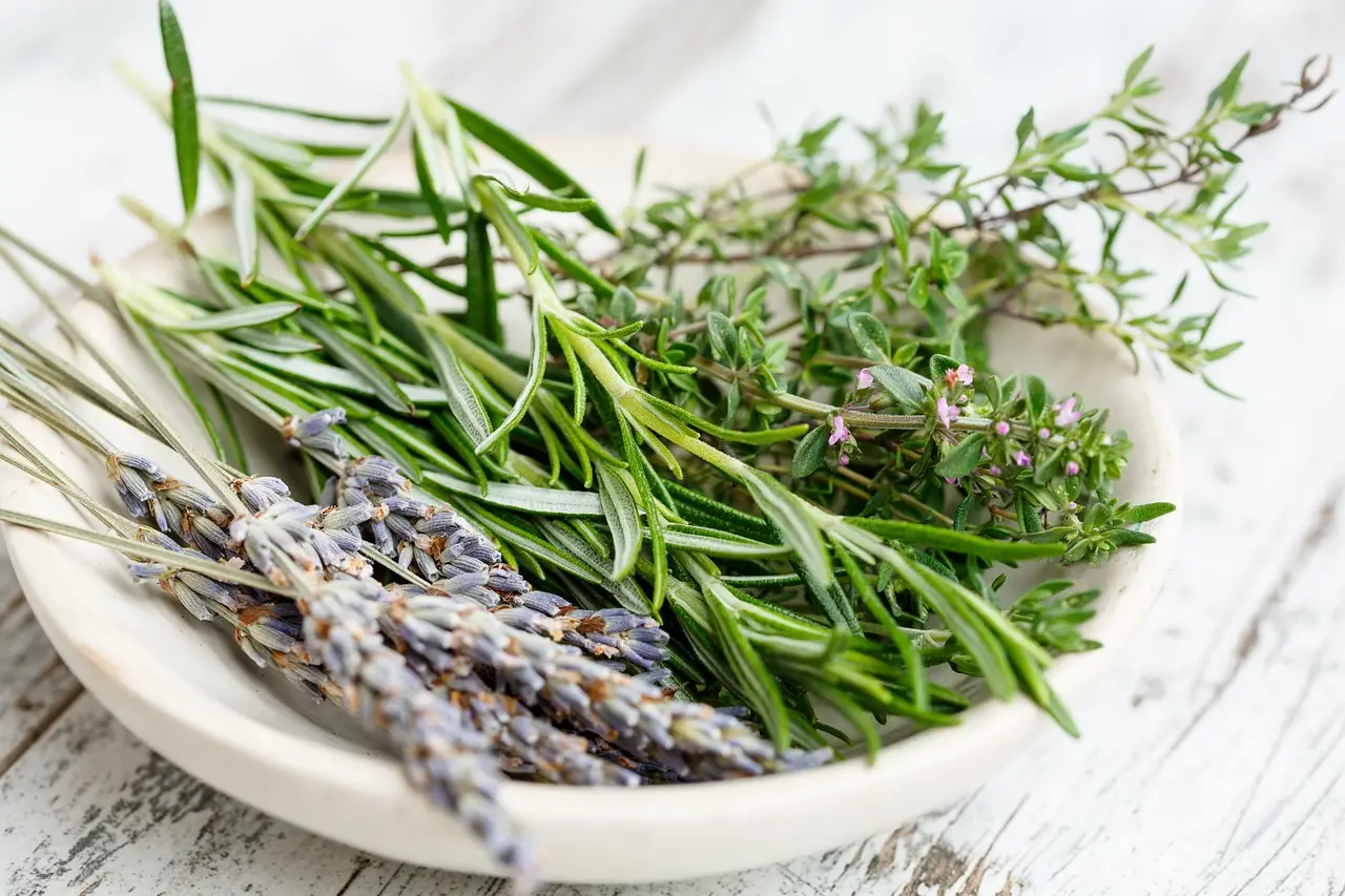 Diffusione di oli essenziali: quale pianta sceglie l’aromaterapia Diffusione di oli essenziali: quale pianta sceglie l’aromaterapia