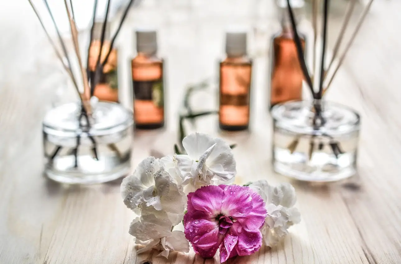 Diffusione di oli essenziali: quale pianta sceglie l’aromaterapia Diffusione di oli essenziali: quale pianta sceglie l’aromaterapia