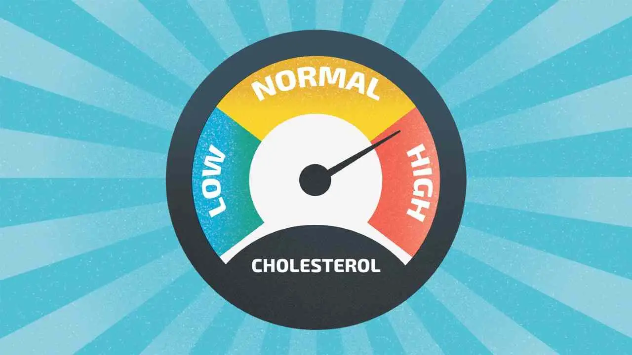 Fare scale ogni giorno: quanto aiuta il cuore davvero Fare scale ogni giorno: quanto aiuta il cuore davvero