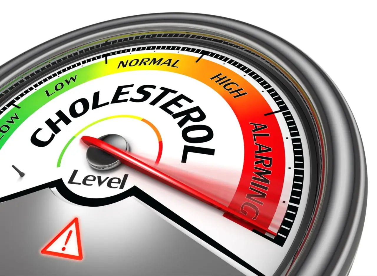 Fare scale ogni giorno: quanto aiuta il cuore davvero Fare scale ogni giorno: quanto aiuta il cuore davvero
