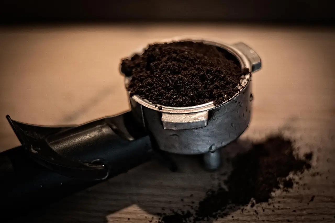 Come usare i fondi di caffè per rinforzare le piante Come usare i fondi di caffè per rinforzare le piante