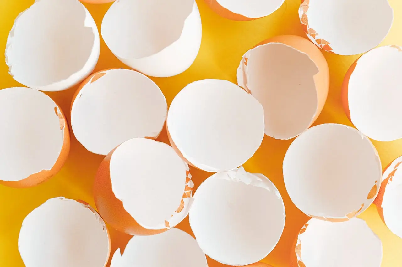 Gusci d’uovo nel vaso: il rimedio naturale per concimare senza spendere nulla Gusci d’uovo nel vaso: il rimedio naturale per concimare senza spendere nulla