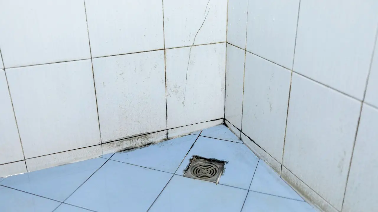 Questo trucco naturale allontana la muffa dal bagno in pochi minuti: prova ora Questo trucco naturale allontana la muffa dal bagno in pochi minuti: prova ora