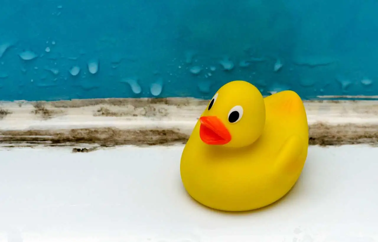 Questo trucco naturale allontana la muffa dal bagno in pochi minuti: prova ora Questo trucco naturale allontana la muffa dal bagno in pochi minuti: prova ora