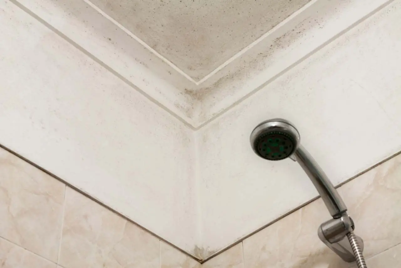 Questo trucco naturale allontana la muffa dal bagno in pochi minuti: prova ora Questo trucco naturale allontana la muffa dal bagno in pochi minuti: prova ora
