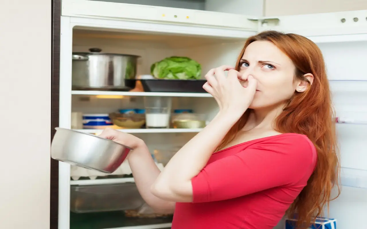 Come eliminare gli odori persistenti dal frigo usando ingredienti che hai già in casa Come eliminare gli odori persistenti dal frigo usando ingredienti che hai già in casa