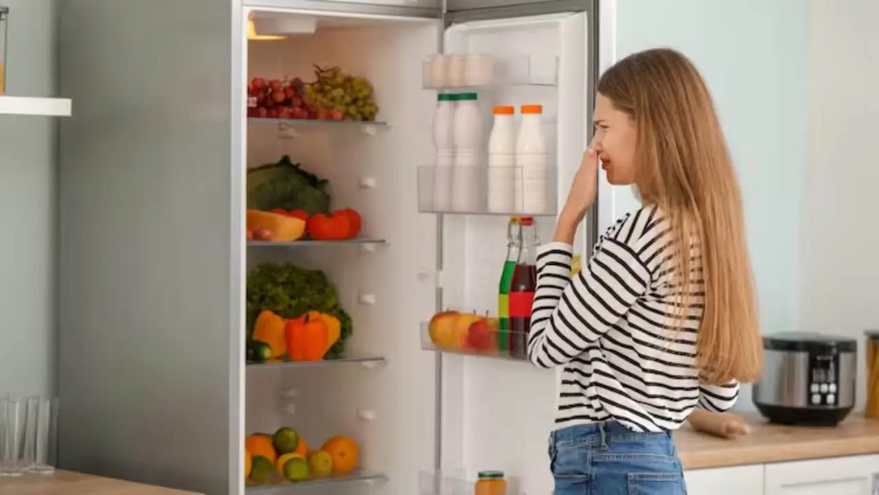Come eliminare gli odori persistenti dal frigo usando ingredienti che hai già in casa Come eliminare gli odori persistenti dal frigo usando ingredienti che hai già in casa
