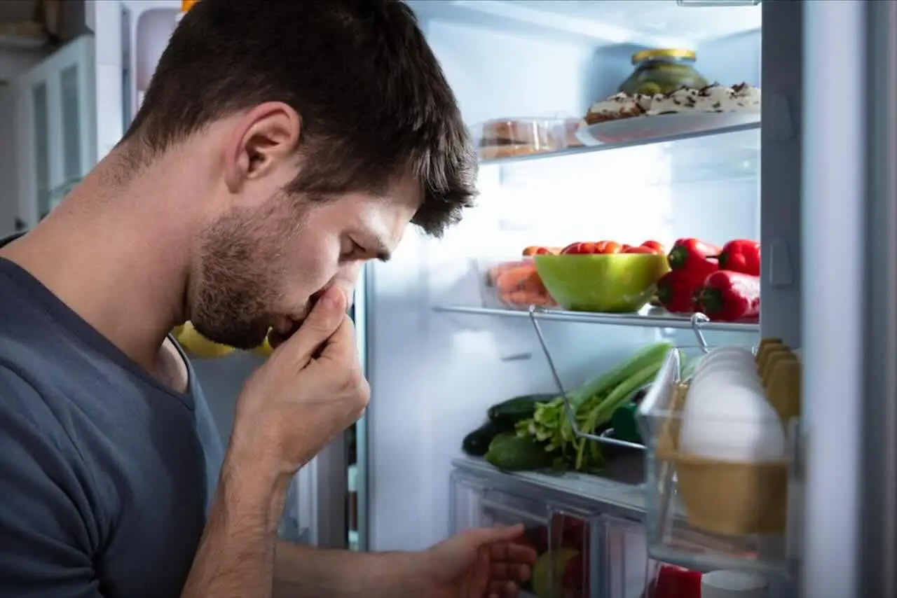 Come eliminare gli odori persistenti dal frigo usando ingredienti che hai già in casa Come eliminare gli odori persistenti dal frigo usando ingredienti che hai già in casa