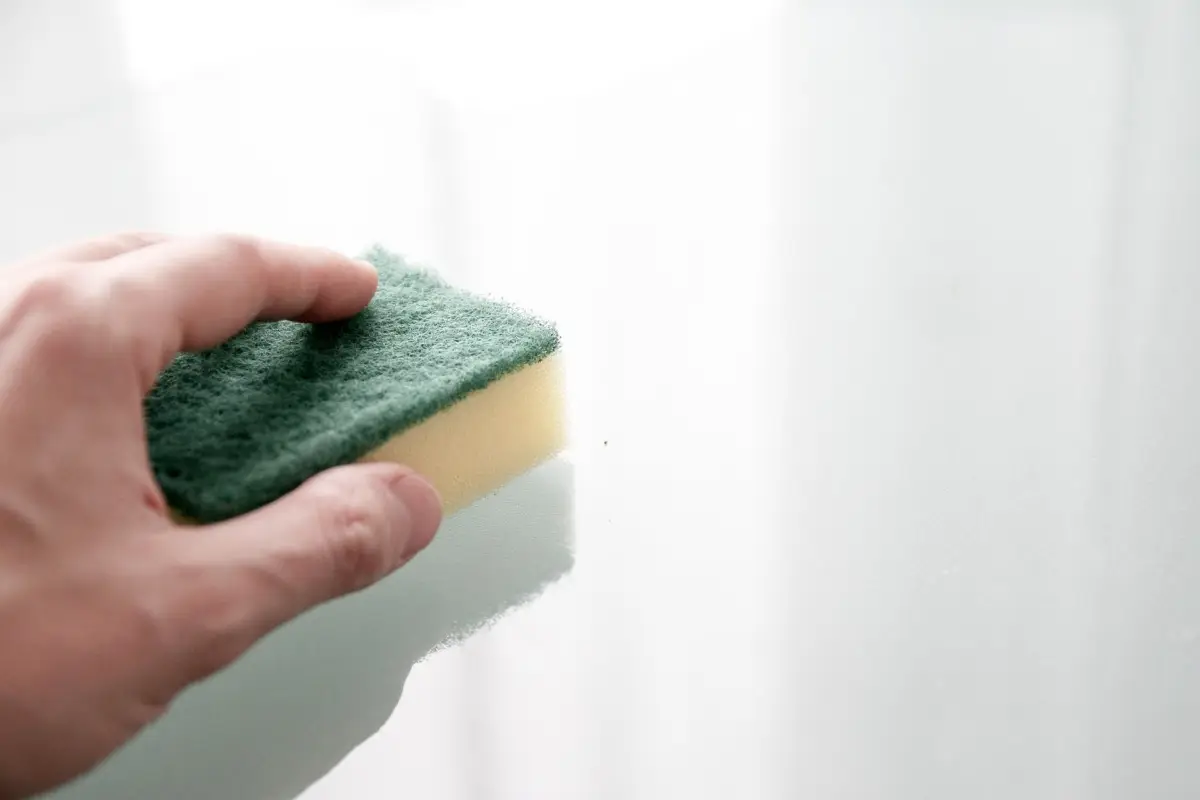 Sai davvero come si igienizza la spugna da cucina senza rischi per la salute? Sai davvero come si igienizza la spugna da cucina senza rischi per la salute?