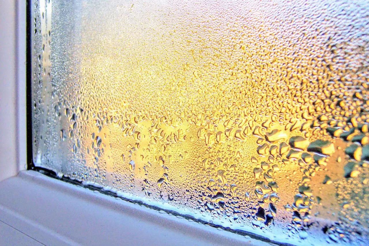 Umidità in casa? Ecco il trucco per rimuoverla subito senza prodotti chimici Umidità in casa? Ecco il trucco per rimuoverla subito senza prodotti chimici
