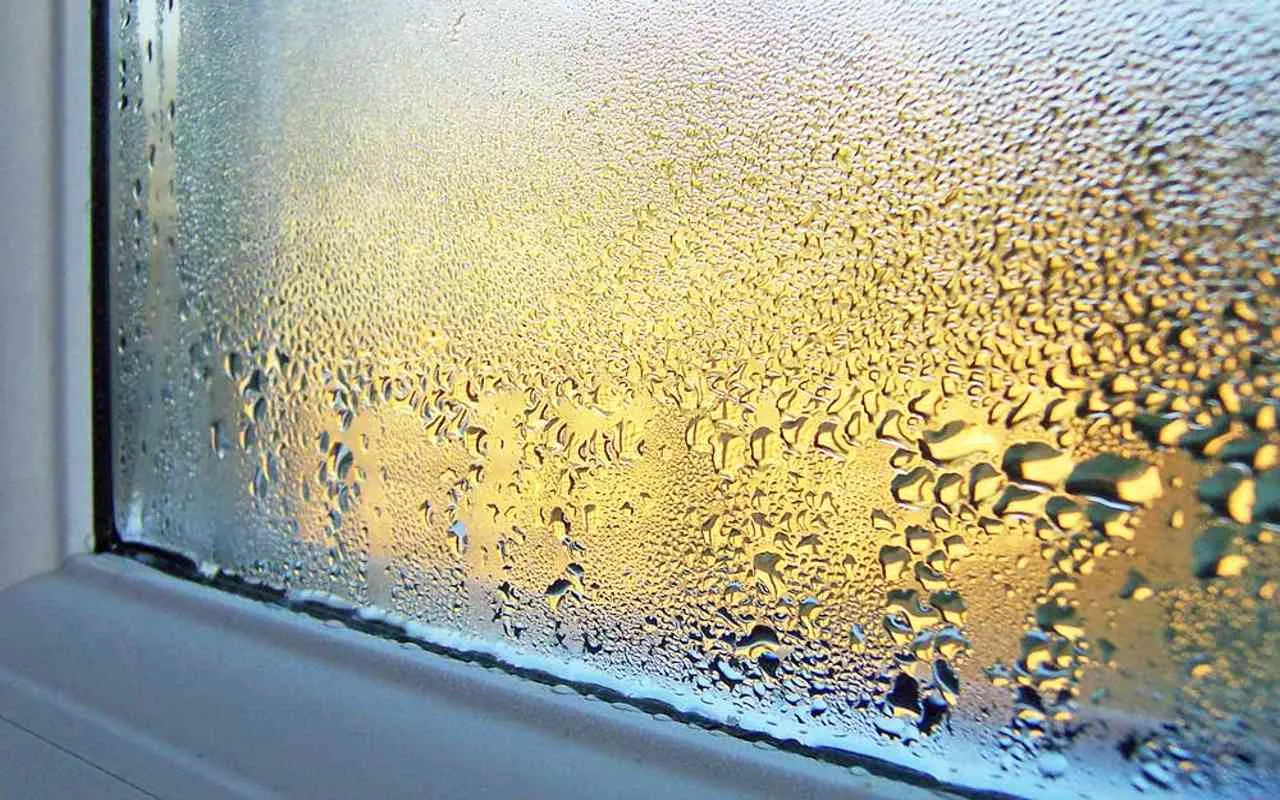Umidità in casa? Ecco il trucco per rimuoverla subito senza prodotti chimici Umidità in casa? Ecco il trucco per rimuoverla subito senza prodotti chimici