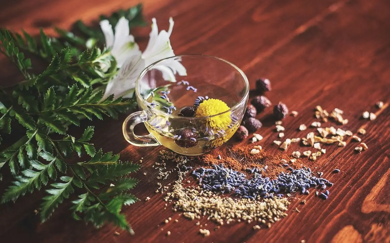 Gerani in salute con additivi naturali: prova questa miscela facile da reperire Gerani in salute con additivi naturali: prova questa miscela facile da reperire