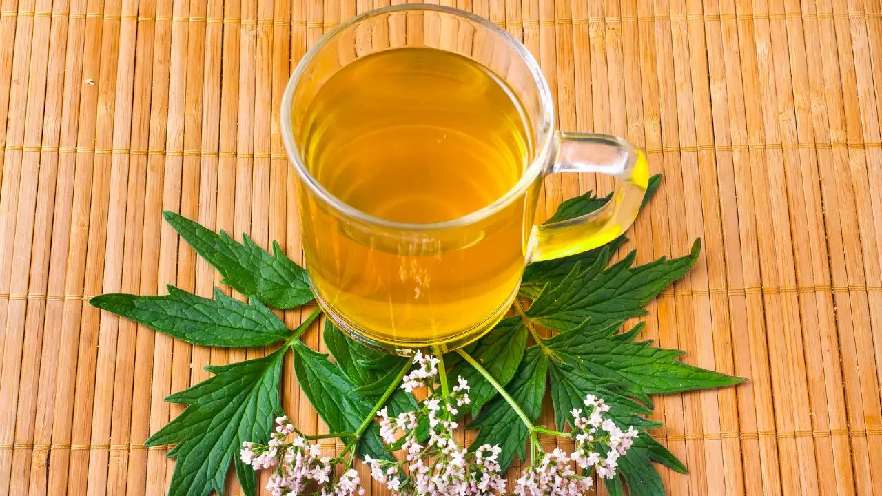 Gerani in salute con additivi naturali: prova questa miscela facile da reperire Gerani in salute con additivi naturali: prova questa miscela facile da reperire